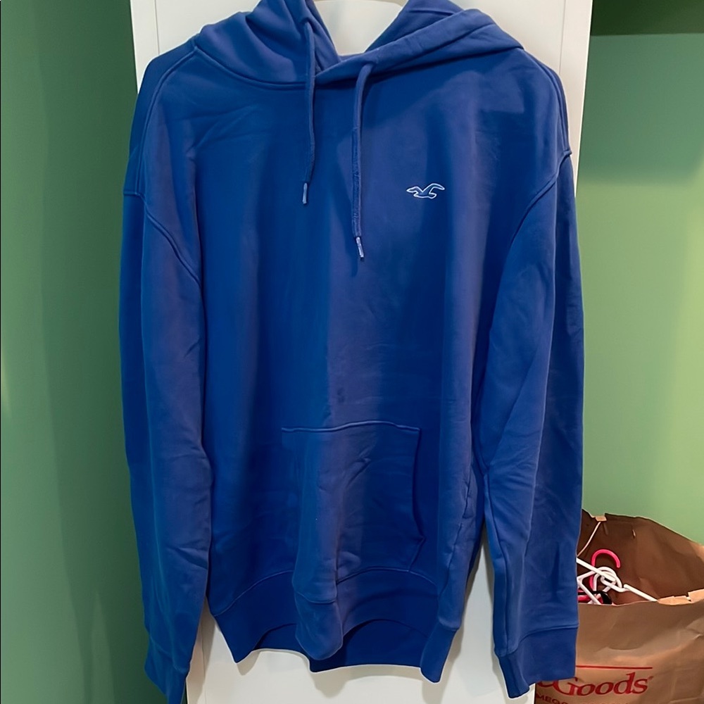 Hollister Unisex Blue Sweatshirt Must Have Collection